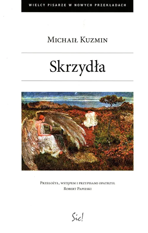 Książka - Skrzydła