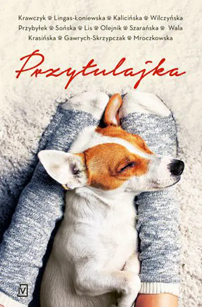 Książka - Przytulajka (pocket)