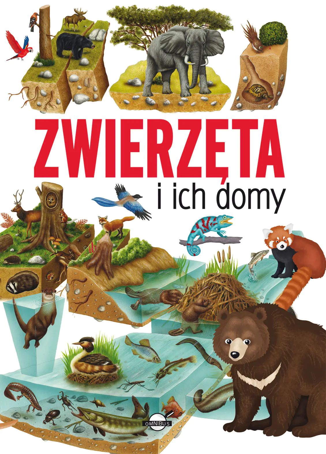 Książka - Zwierzęta i ich domy