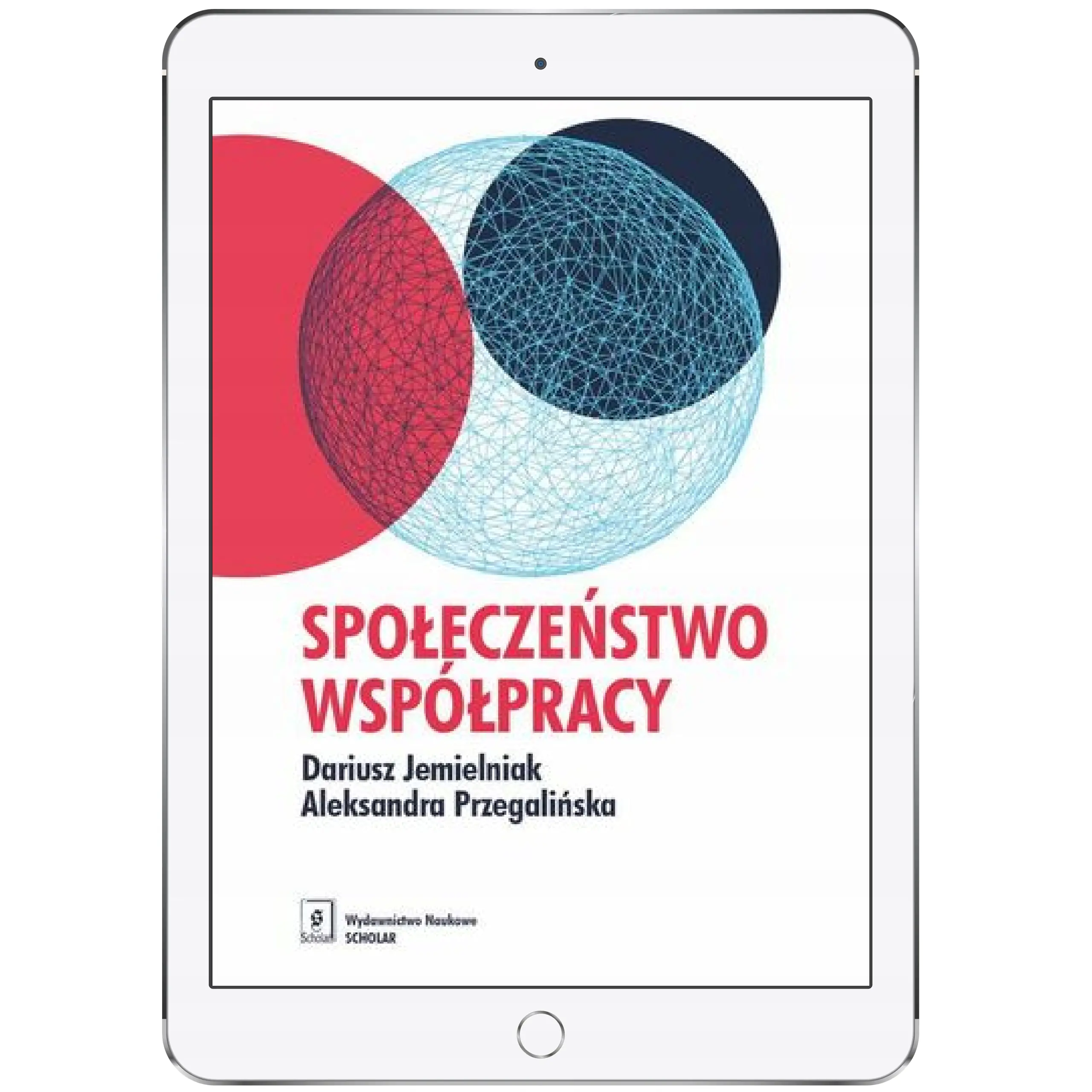 Książka - Społeczeństwo współpracy