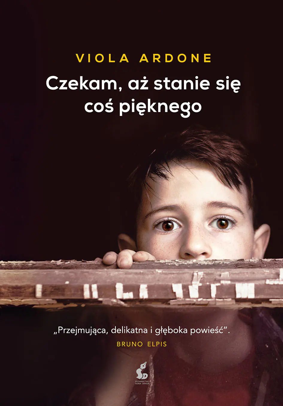 Książka - Czekam, aż stanie się coś pięknego