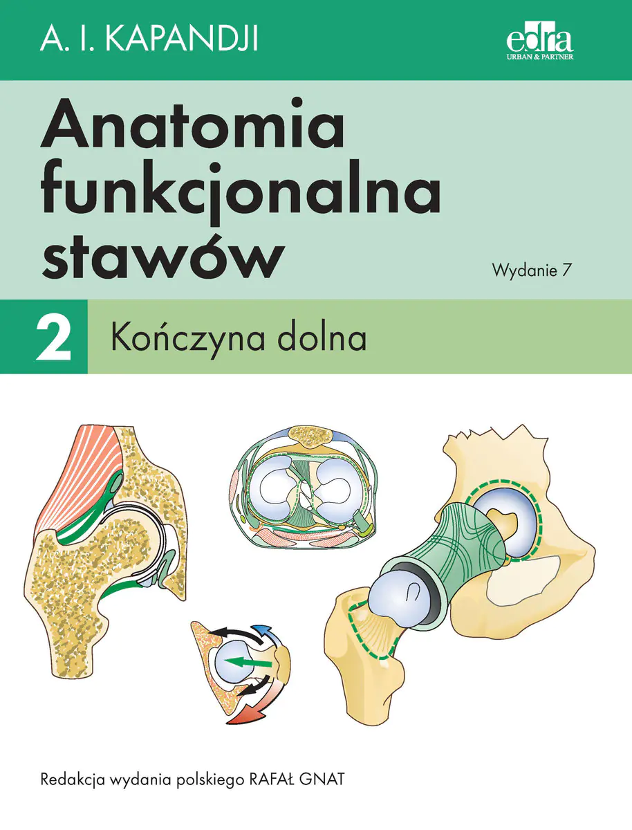 Książka - Anatomia funkcjonalna stawów. Kończyna dolna. Tom 2