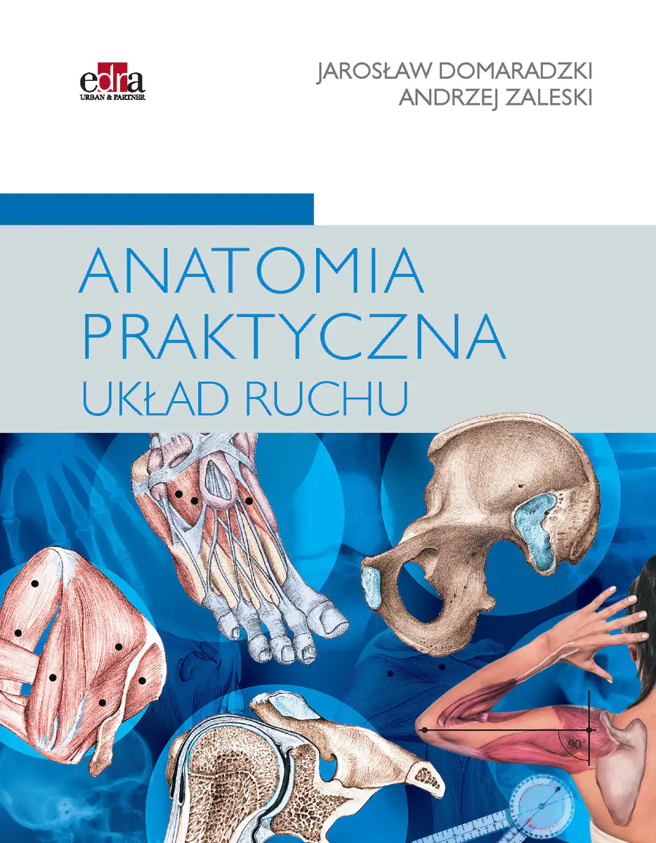 Książka - Anatomia praktyczna. Układ ruchu