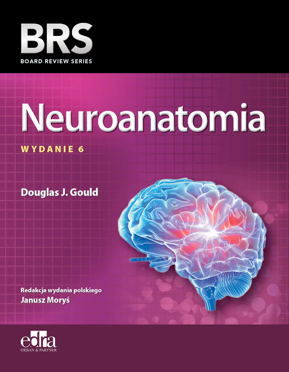 Książka - Neuroanatomia BRS