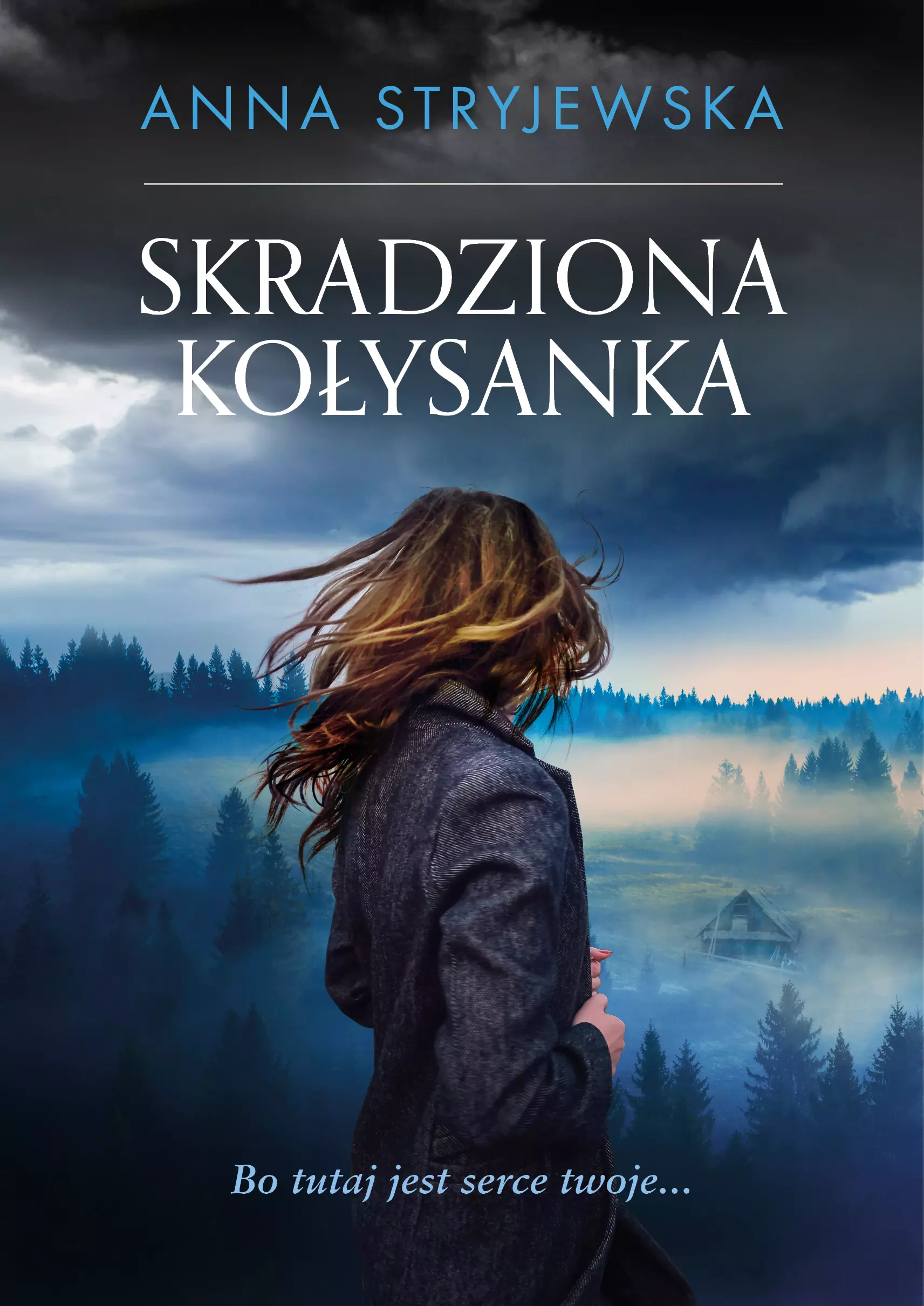 Książka - Skradziona kołysanka