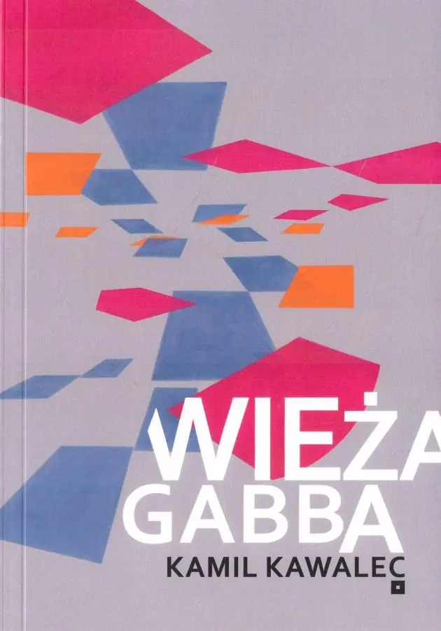 Książka - Wieża Gabba