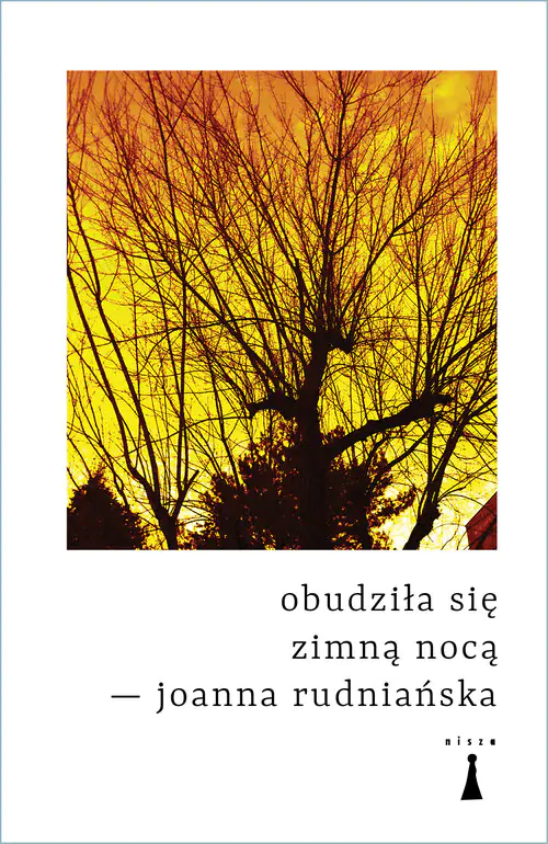 Książka - Obudziła się zimną nocą