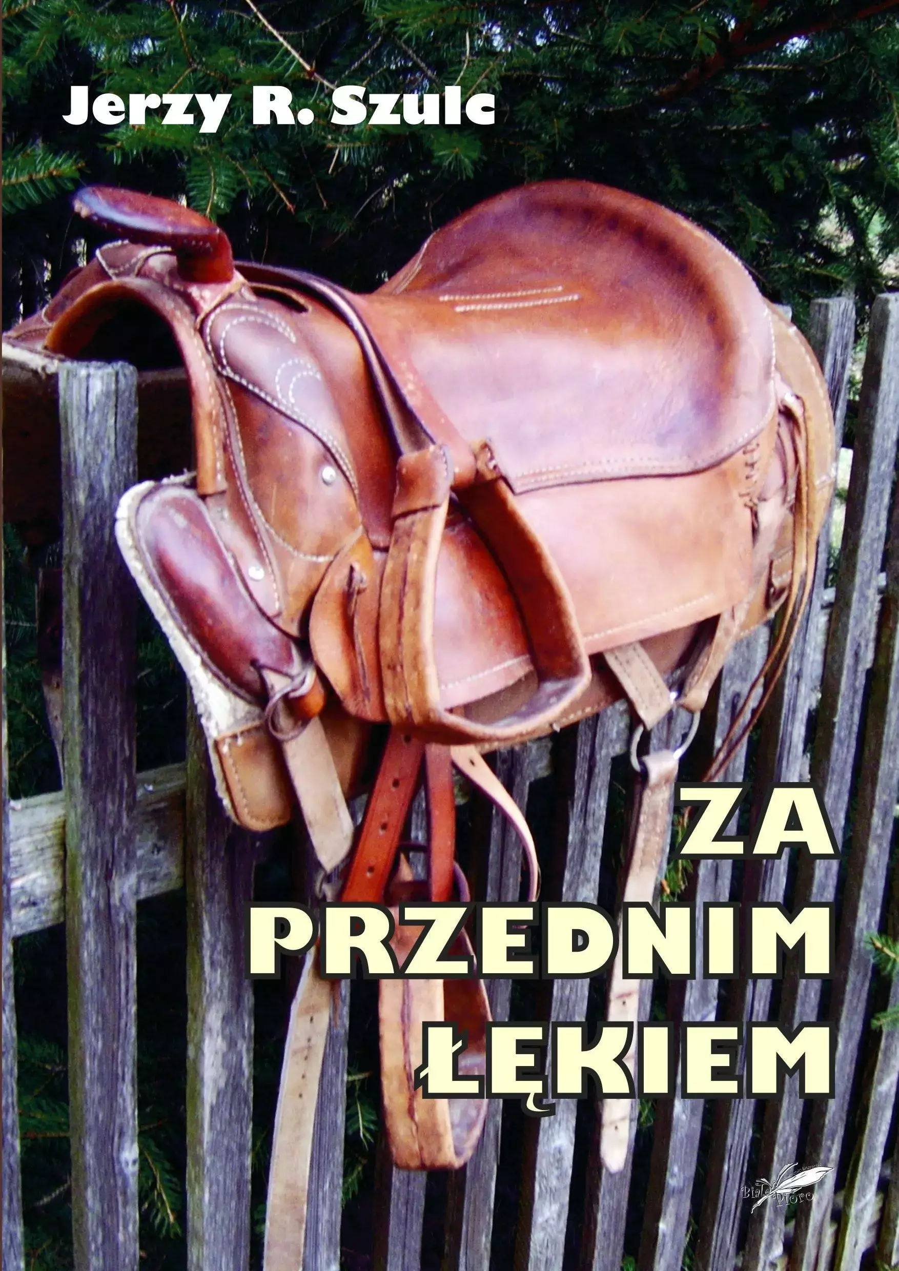 Książka - Za przednim łękiem