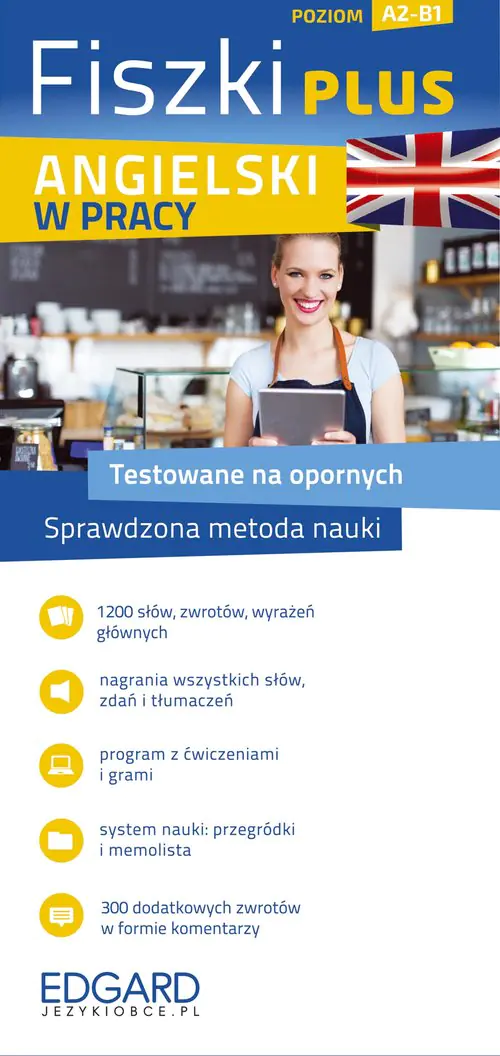 Książka - Fiszki PLUS. Angielski w pracy