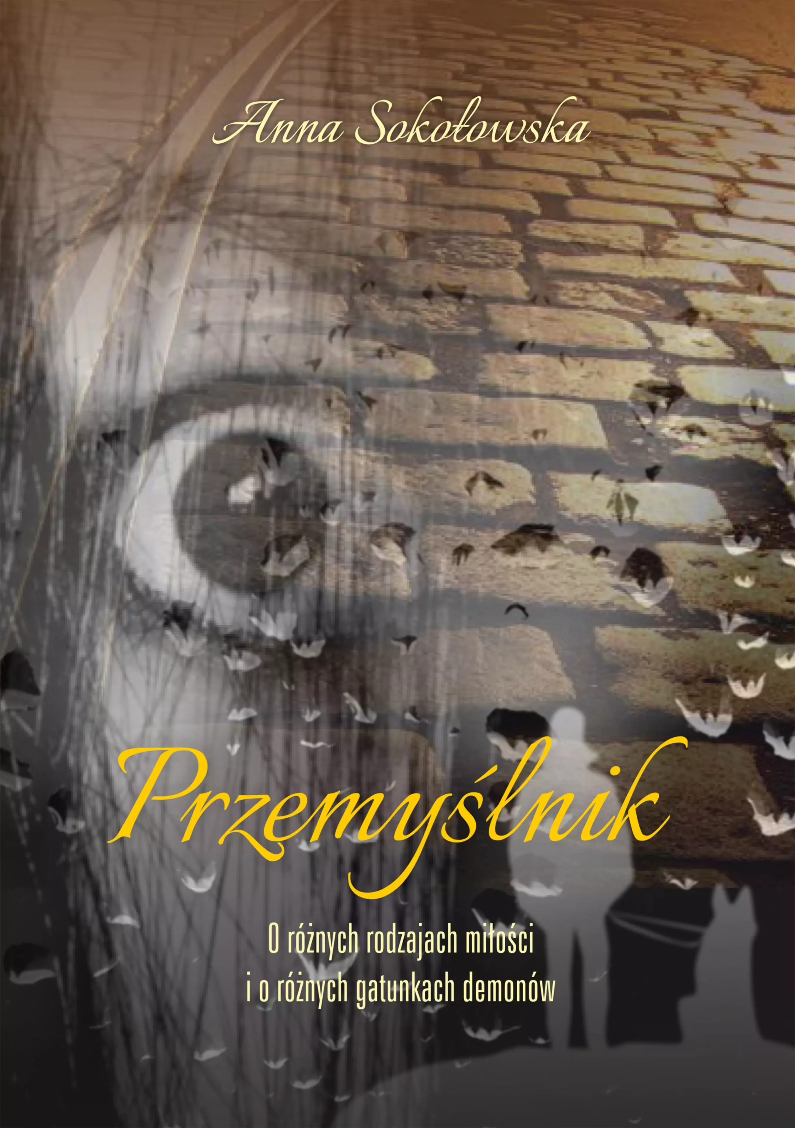 Książka - Przemyślnik