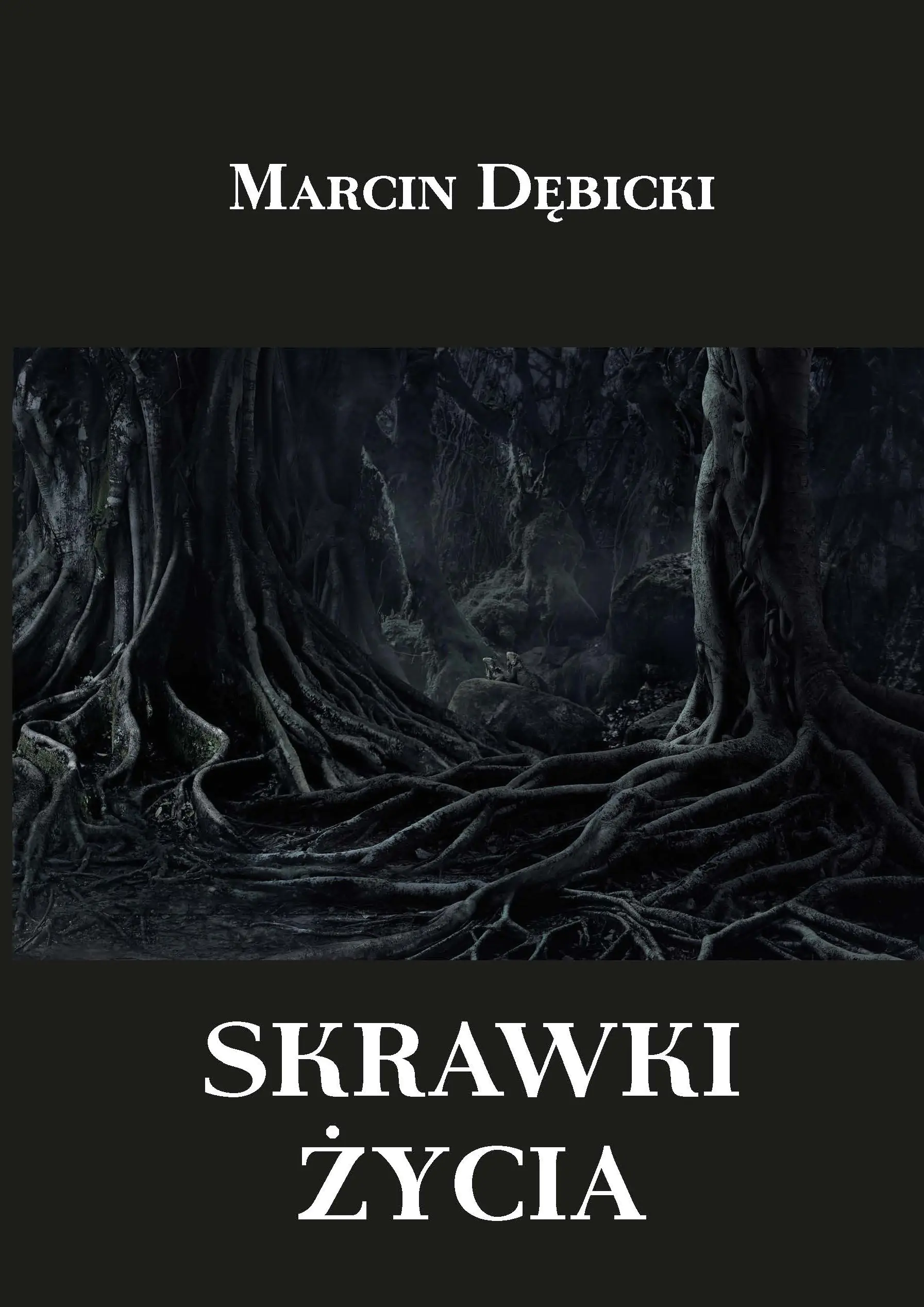 Książka - Skrawki życia