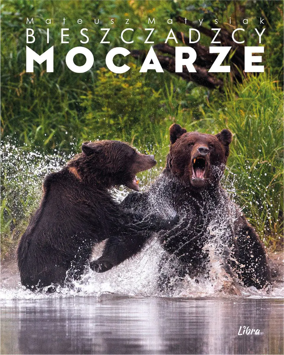 Książka - Bieszczadzcy mocarze