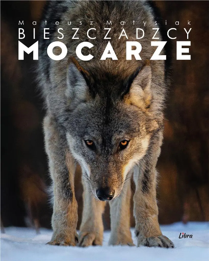 Książka - Bieszczadzcy mocarze