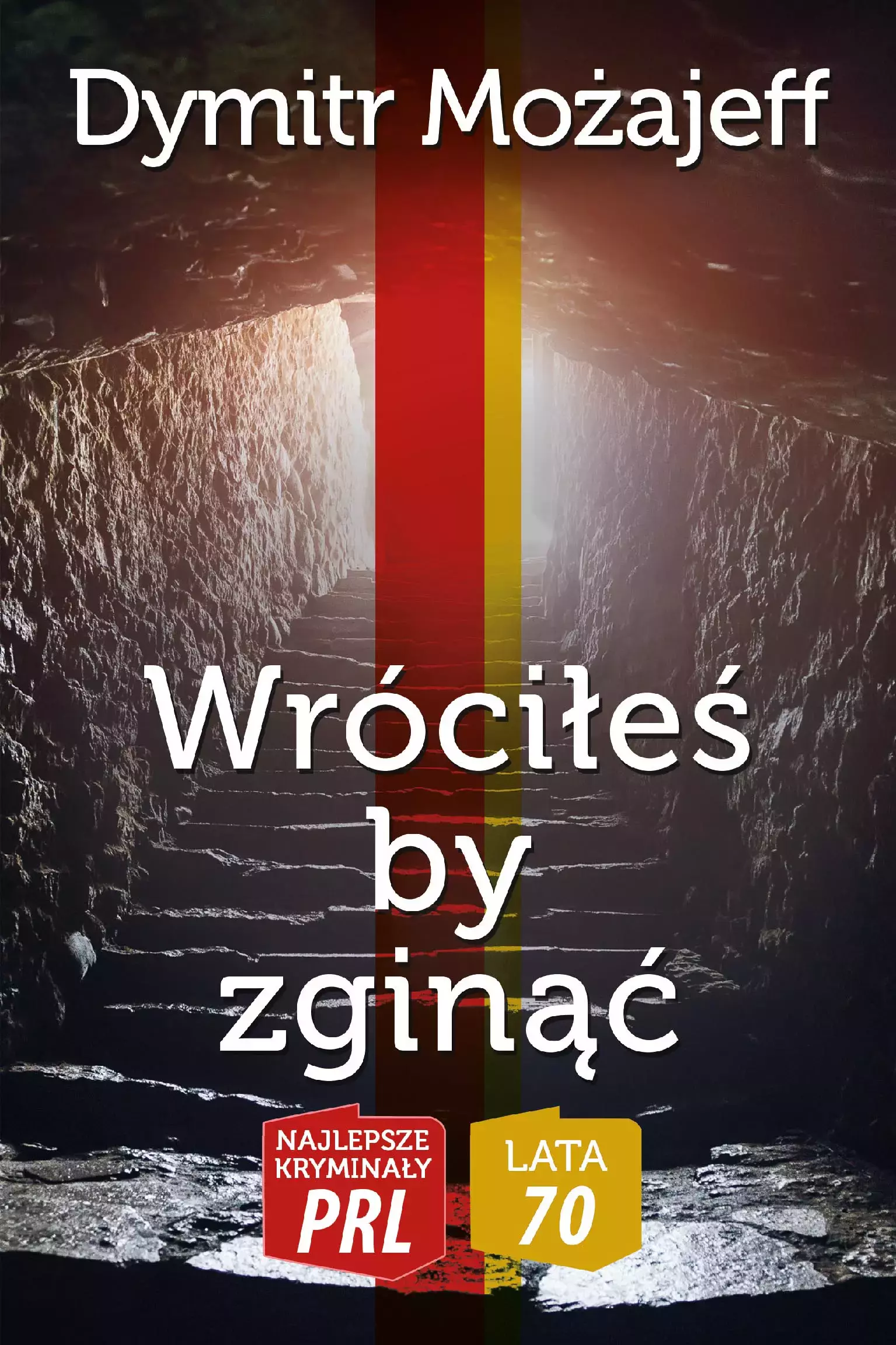 Książka - Wróciłeś by zginąć