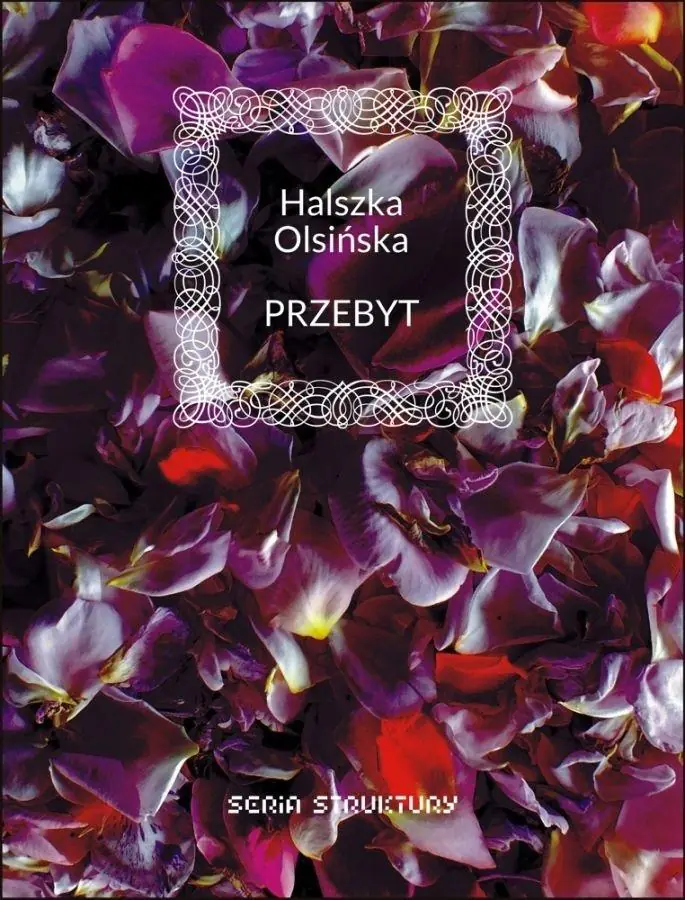 Książka - Przebyt