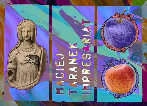 Książka - Impresariat