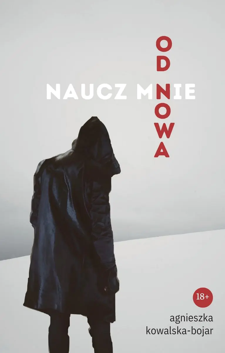 Książka - Naucz mnie od nowa