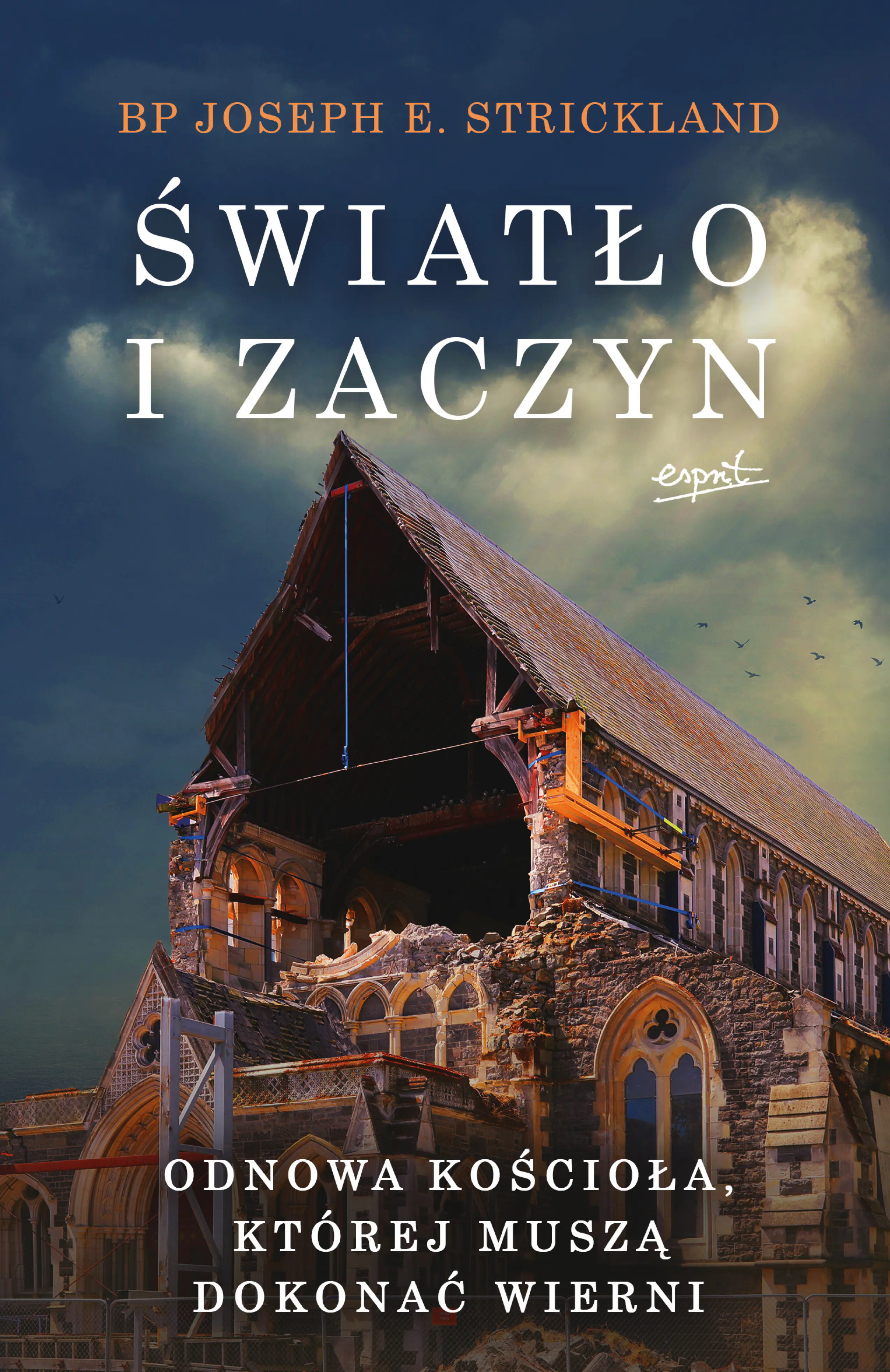 Książka - Światło i zaczyn. Odnowa Kościoła, której muszą dokonać wierni