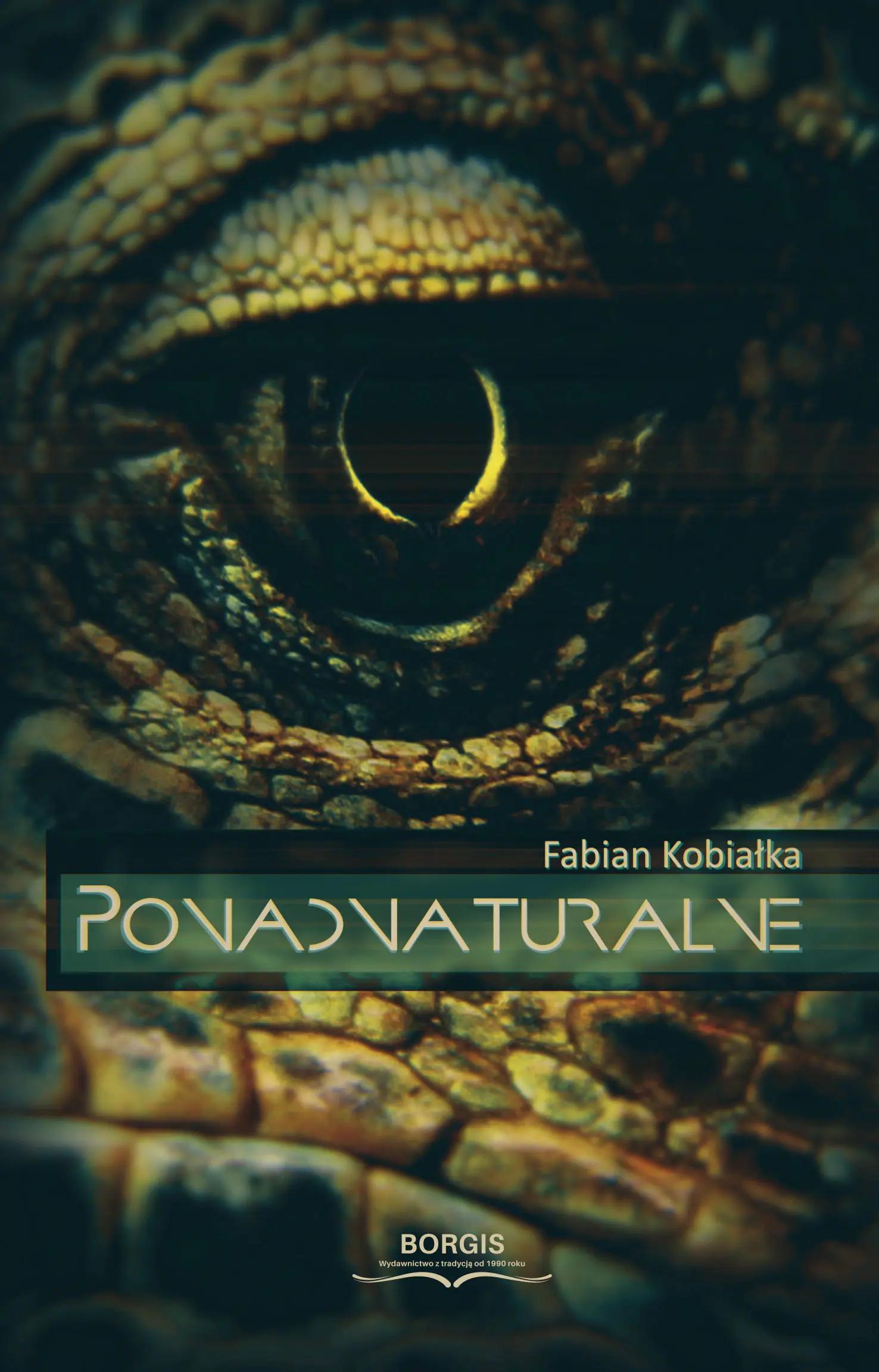 Książka - Ponadnaturalne