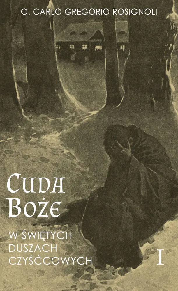 Książka - Cuda Boże w świętych duszach czyśćcowych. Tom 1