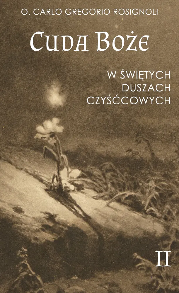 Książka - Cuda Boże w świętych duszach czyśćcowych Tom II