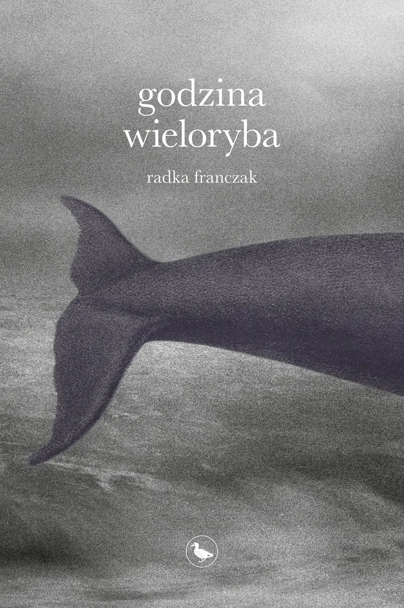 Książka - Godzina wieloryba