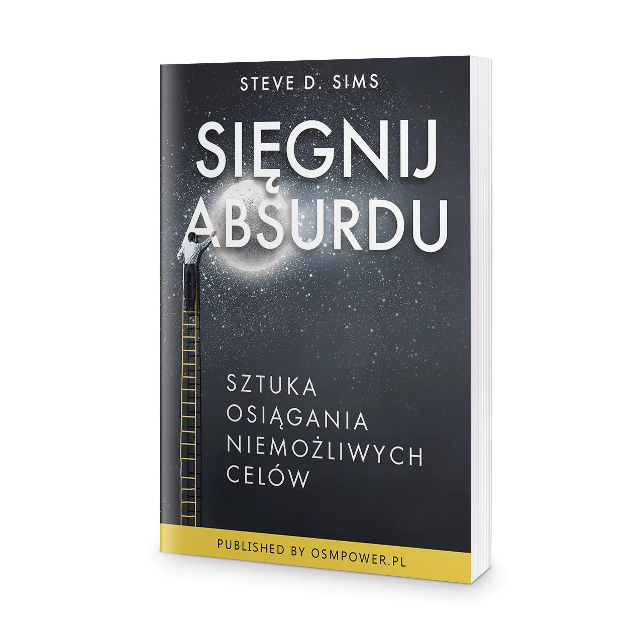 Książka - Sięgnij absurdu. Sztuka osiągania niemożliwych celów