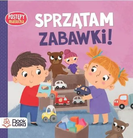 Książka - Sprzątam zabawki. Postępy malucha