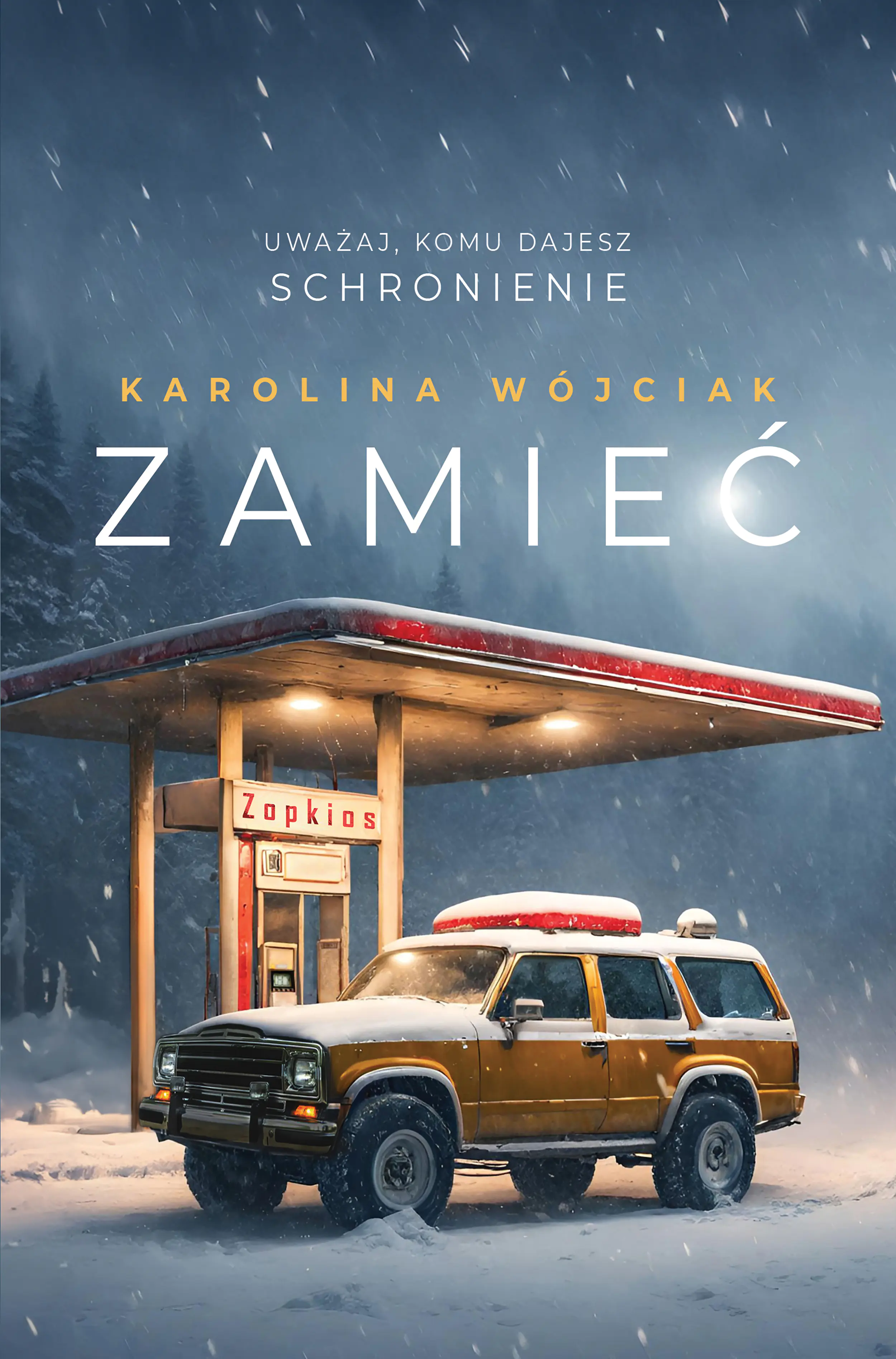 Książka - Zamieć