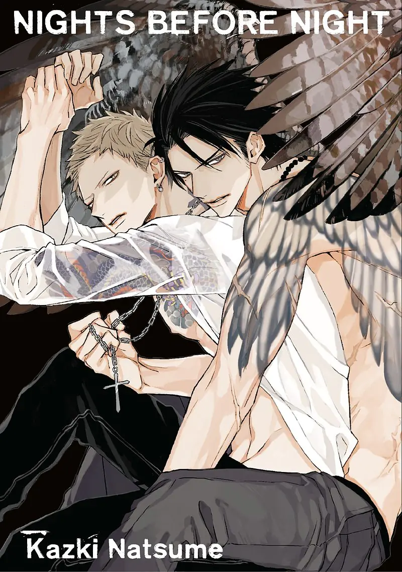 Książka - Nights Before Night