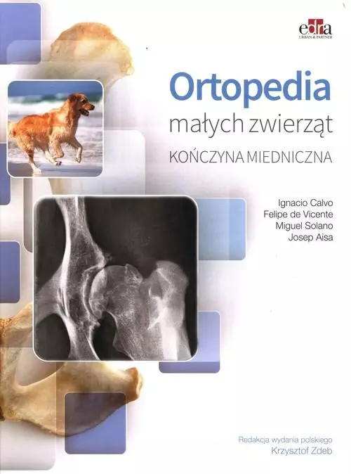 Książka - Ortopedia małych zwierząt. Kończyna miednicza