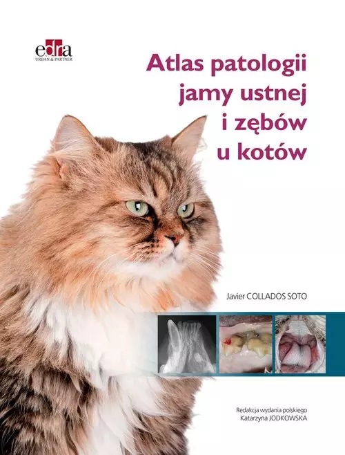 Książka - Atlas patologii jamy ustnej i zębów u kotów