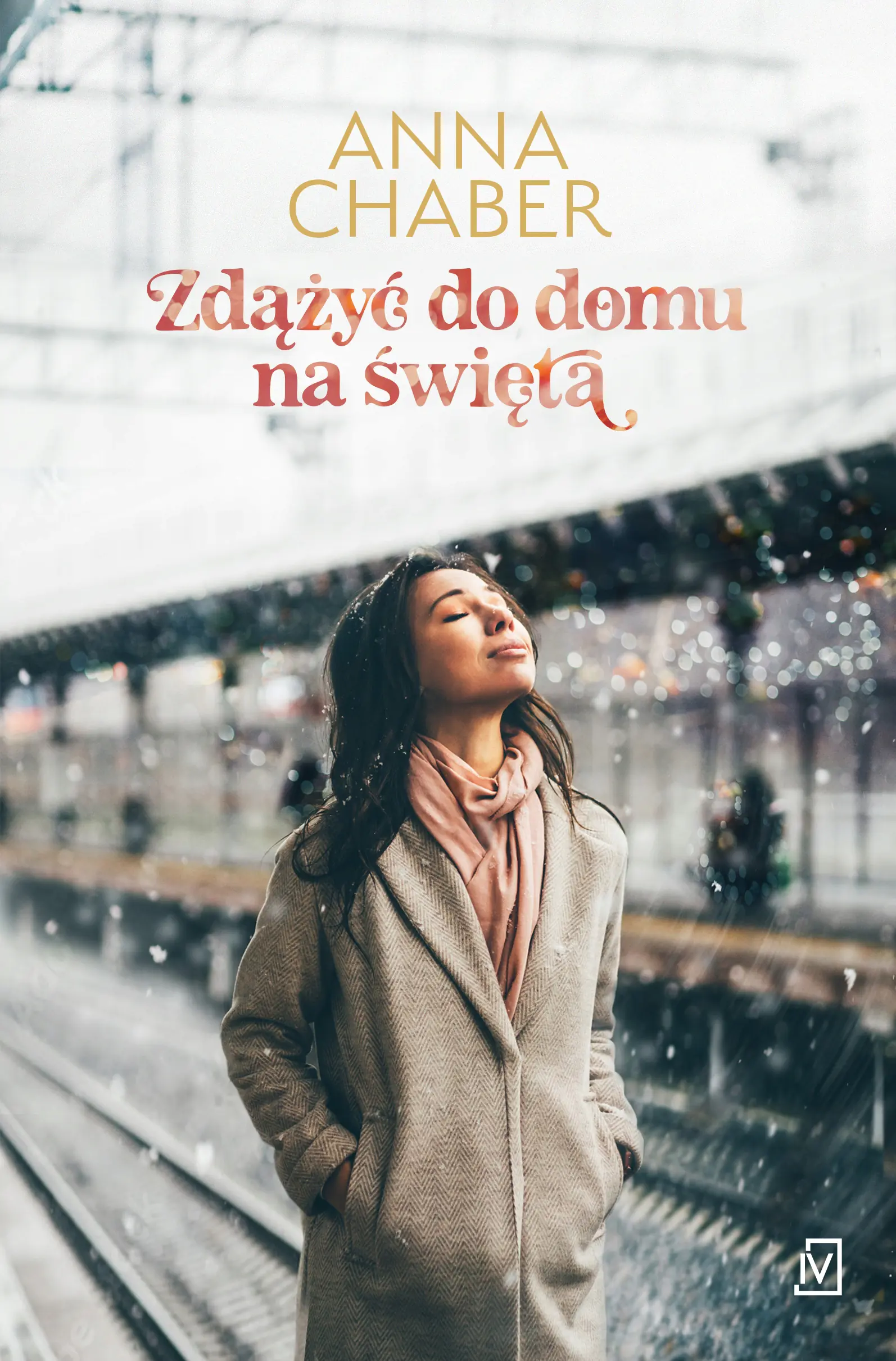 Książka - Zdążyć do domu na święta