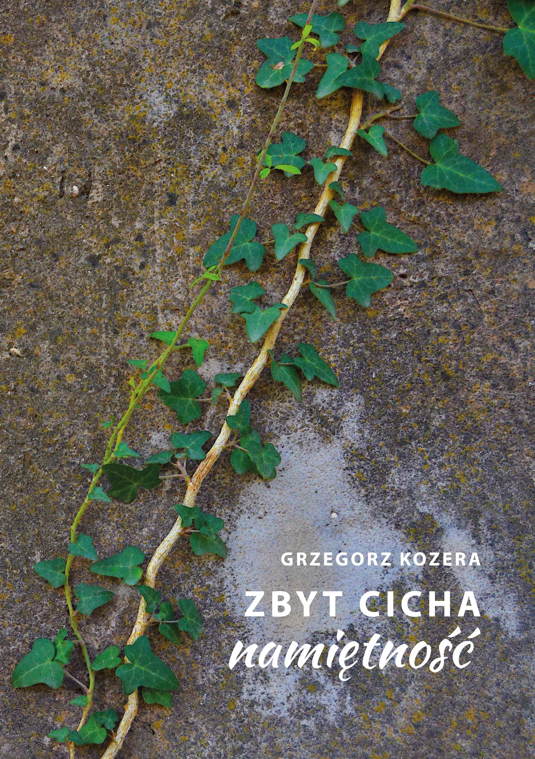 Książka - Zbyt cicha namiętność