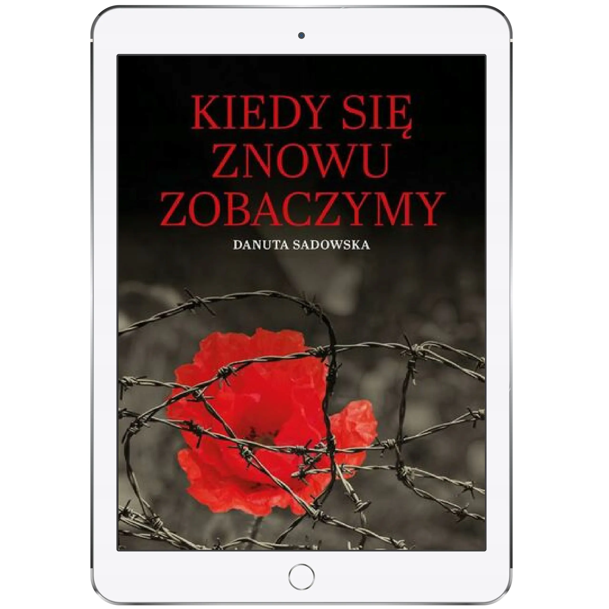 Książka - Kiedy się, znowu zobaczymy