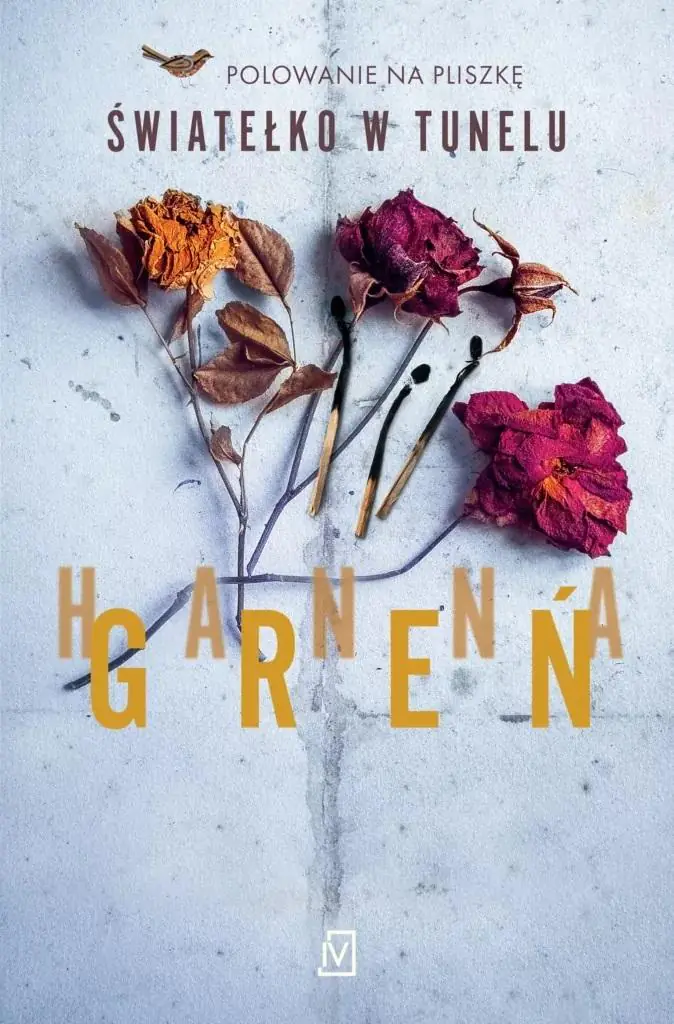 Książka - Światełko w tunelu