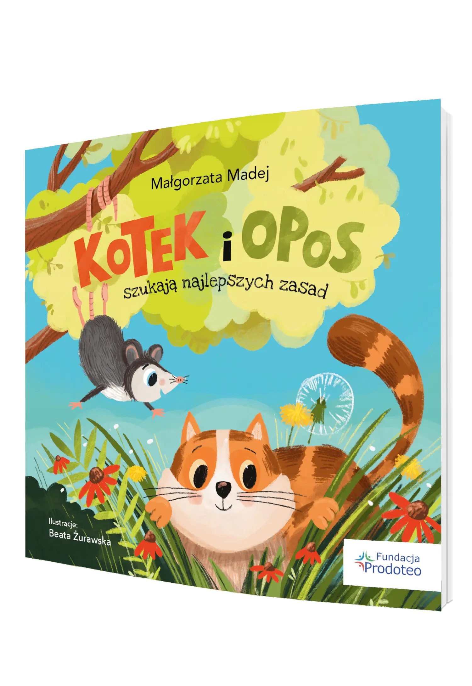 Książka - Kotek i opos szukają najlepszych zasad