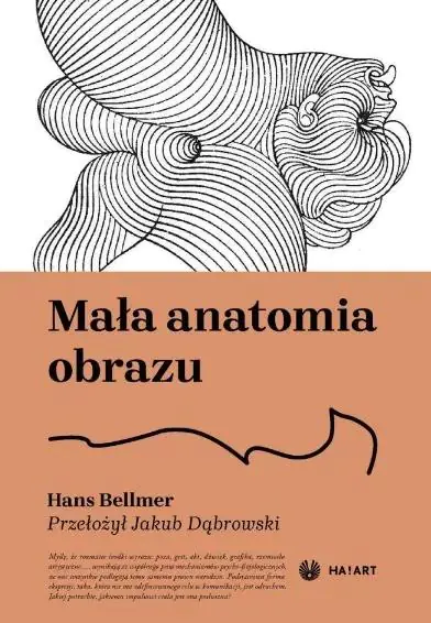Książka - Mała anatomia obrazu