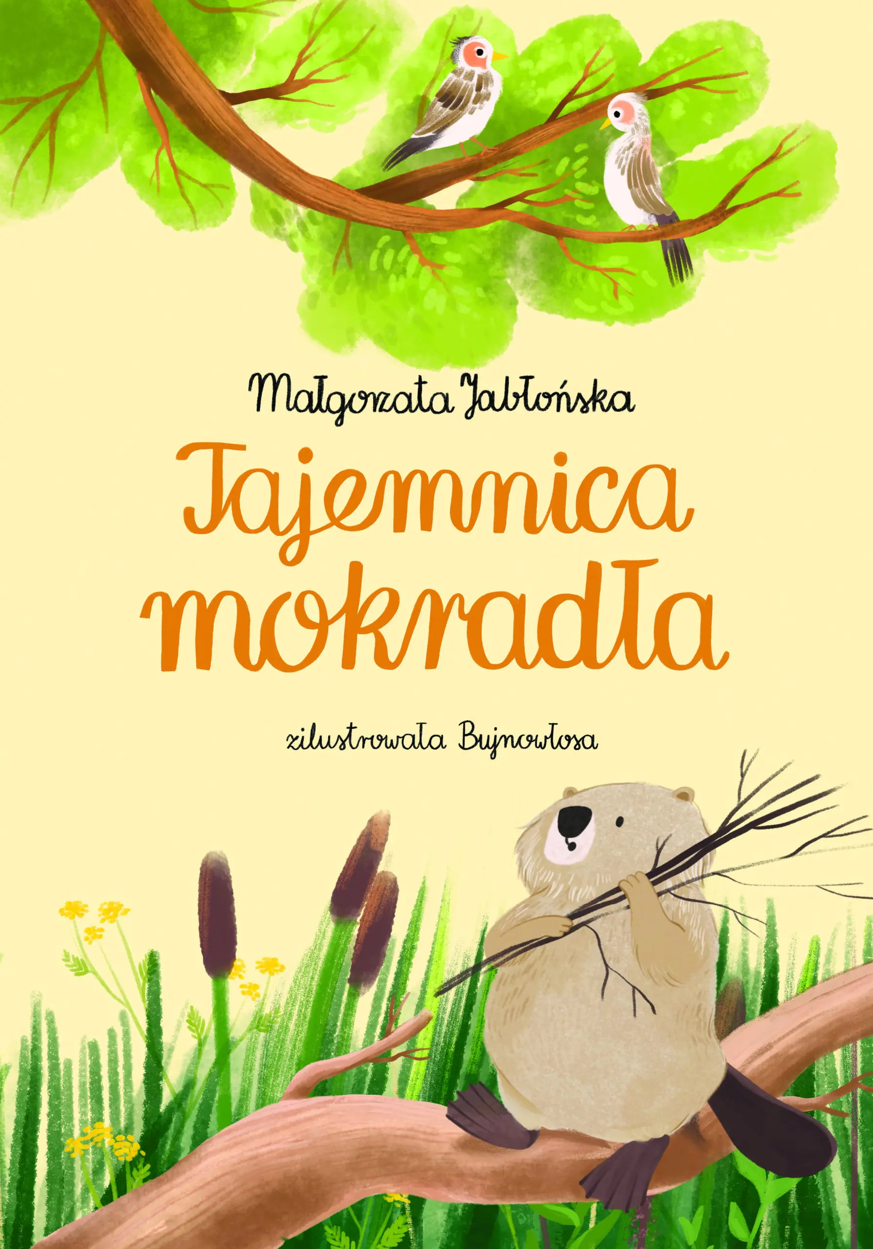 Książka - Tajemnica mokradła