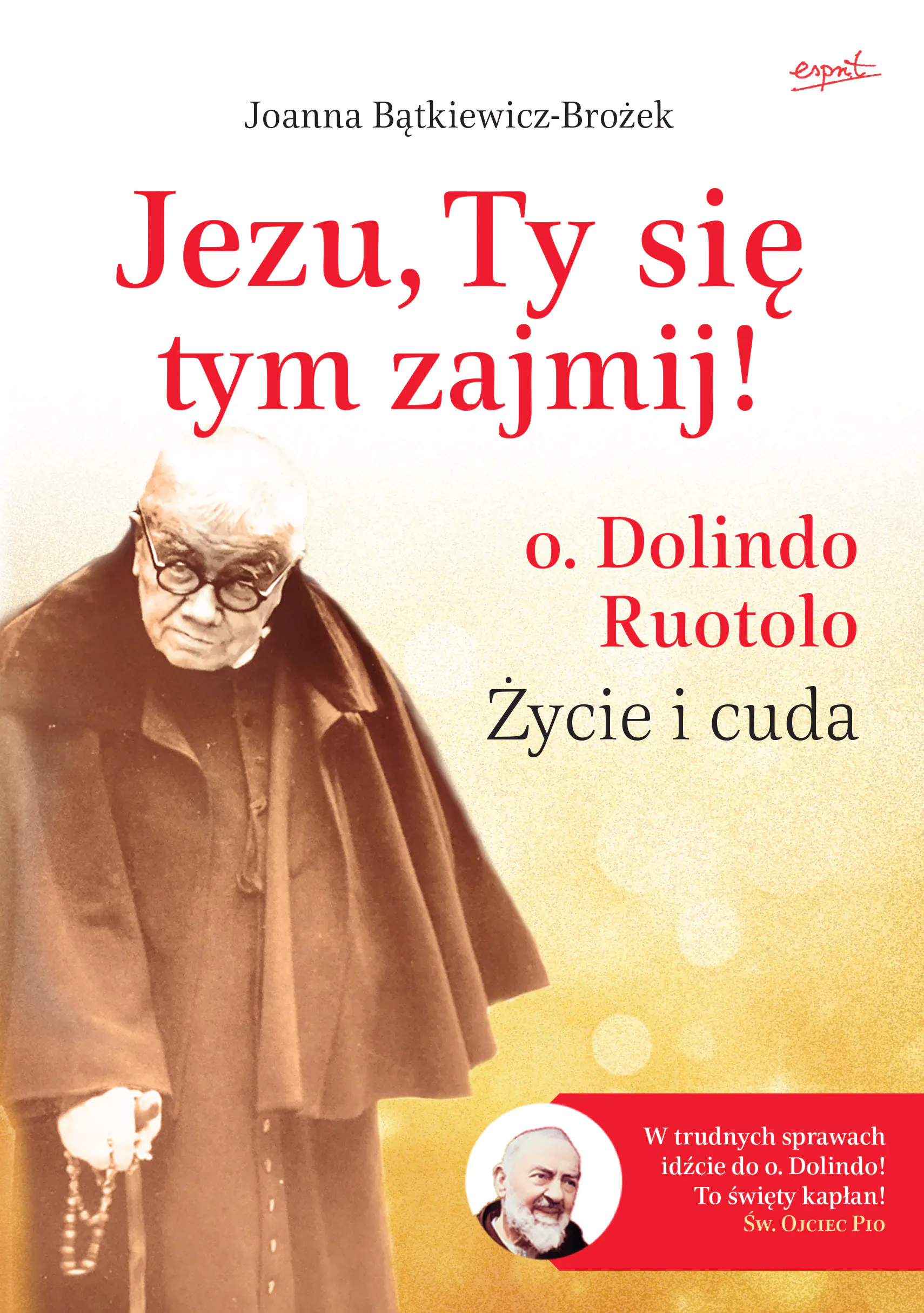 Książka - Jezu, Ty się tym zajmij! o. Dolindo Ruotolo. Życie i cuda