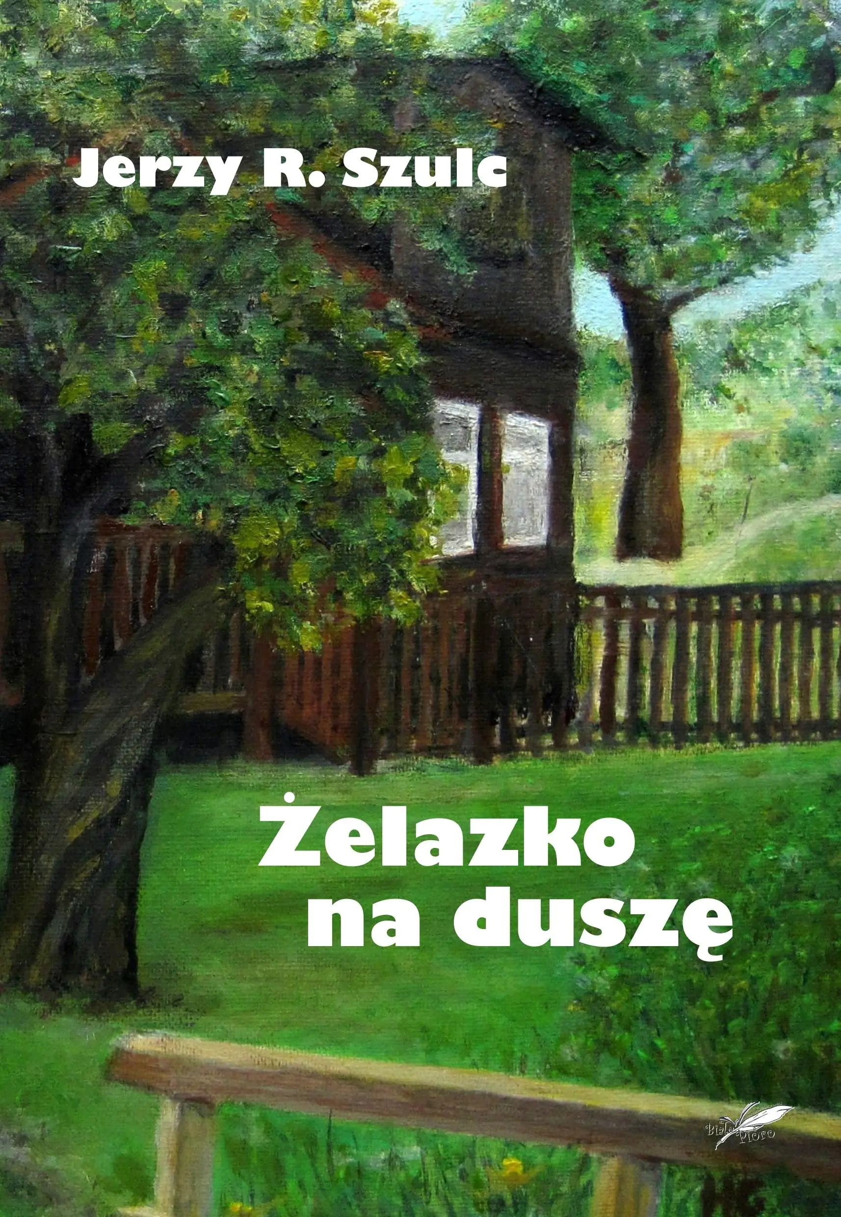 Książka - Żelazko na duszę