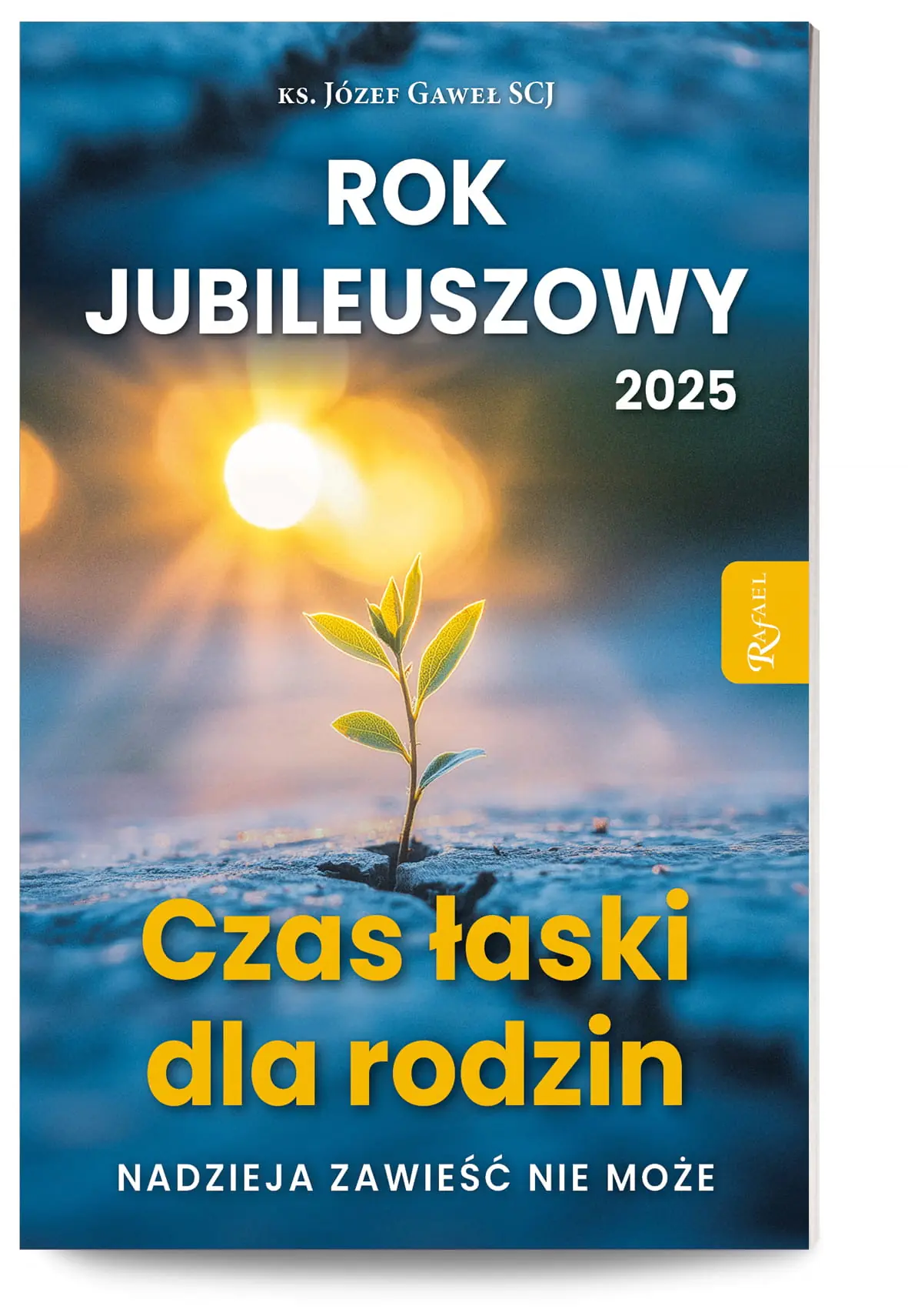 Książka - ROK JUBILEUSZOWY 2025 CZAS ŁASKI DLA RODZIN