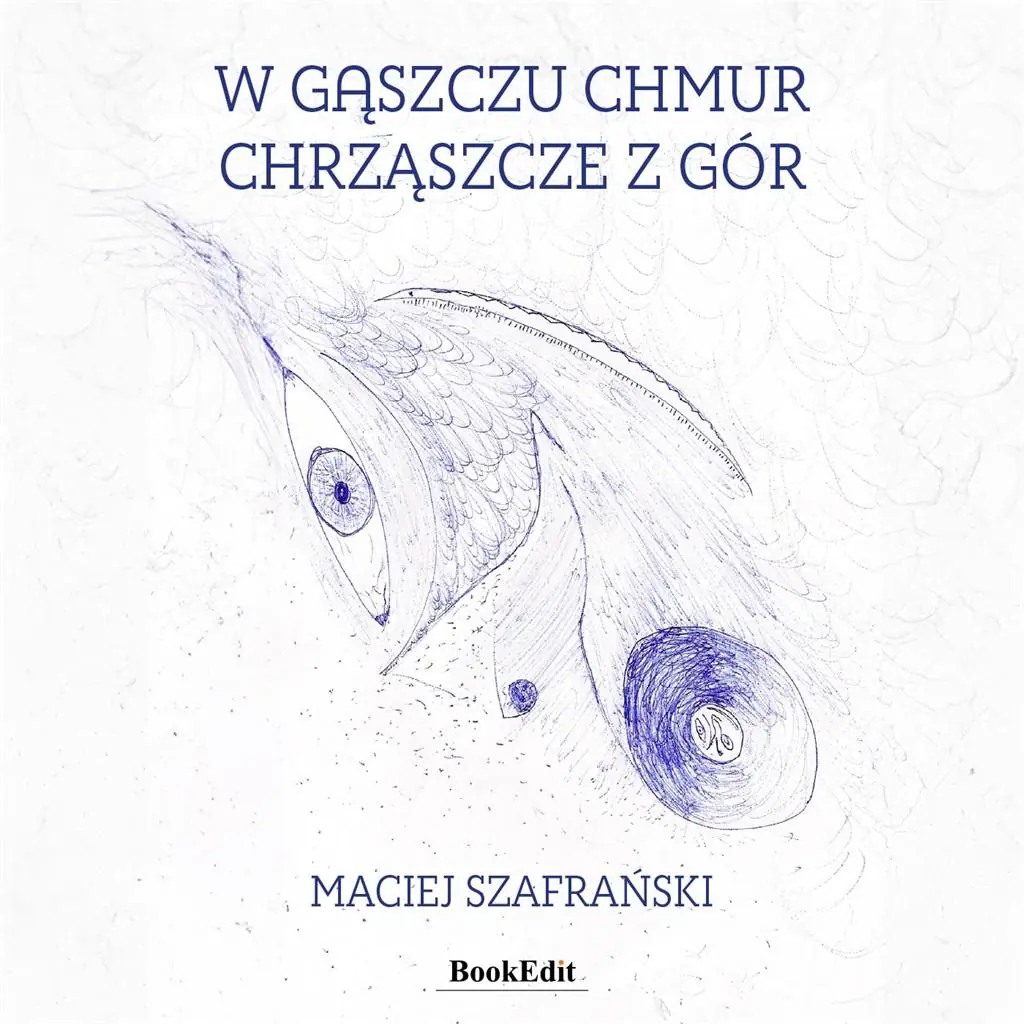 Książka - W gąszczu chmur chrząszcze z gór