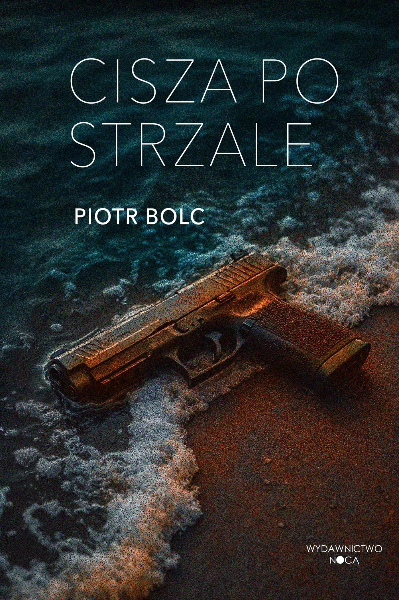 Książka - Cisza po strzale
