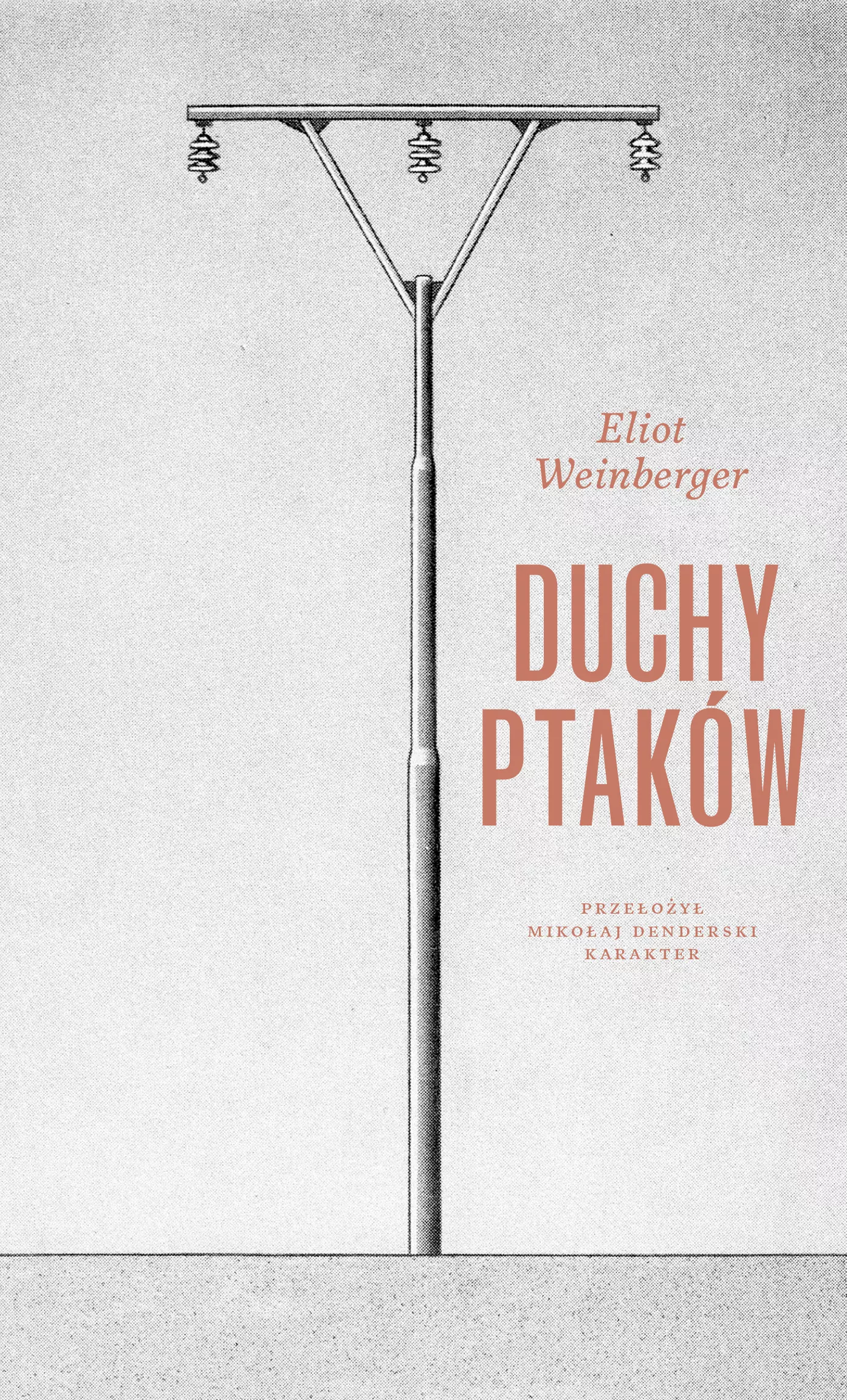 Książka - Duchy ptaków