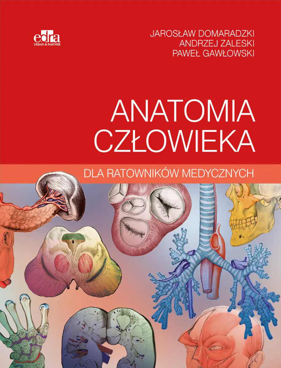 Książka - Anatomia człowieka dla ratowników medycznych