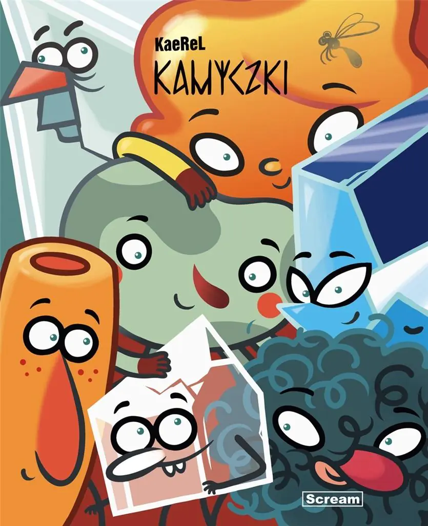 Książka - Kamyczki