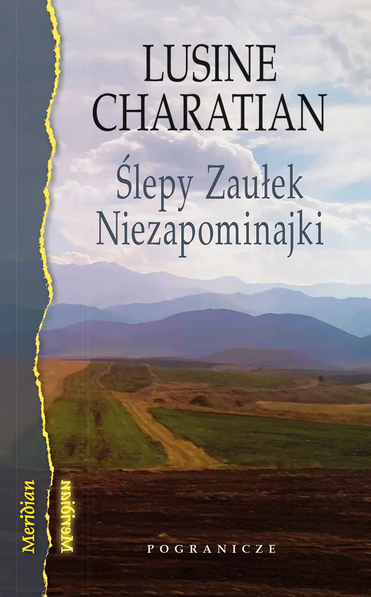 Książka - Ślepy Zaułek Niezapominajki