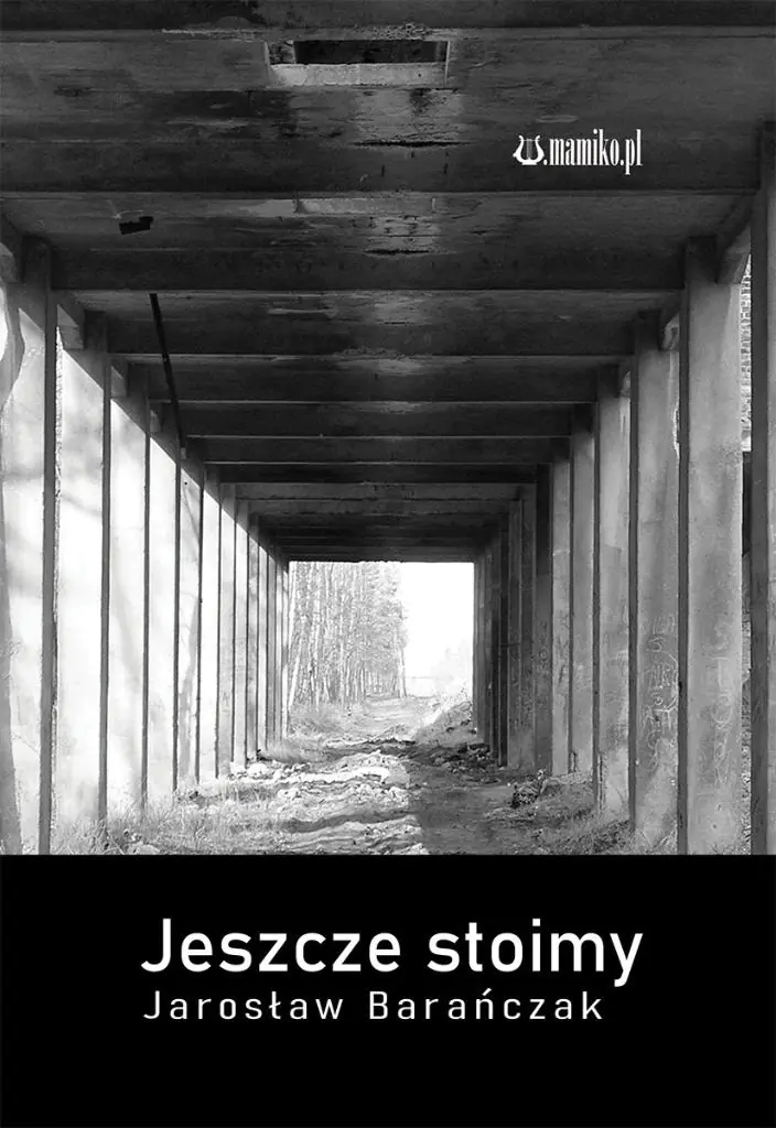 Książka - Jeszcze stoimy