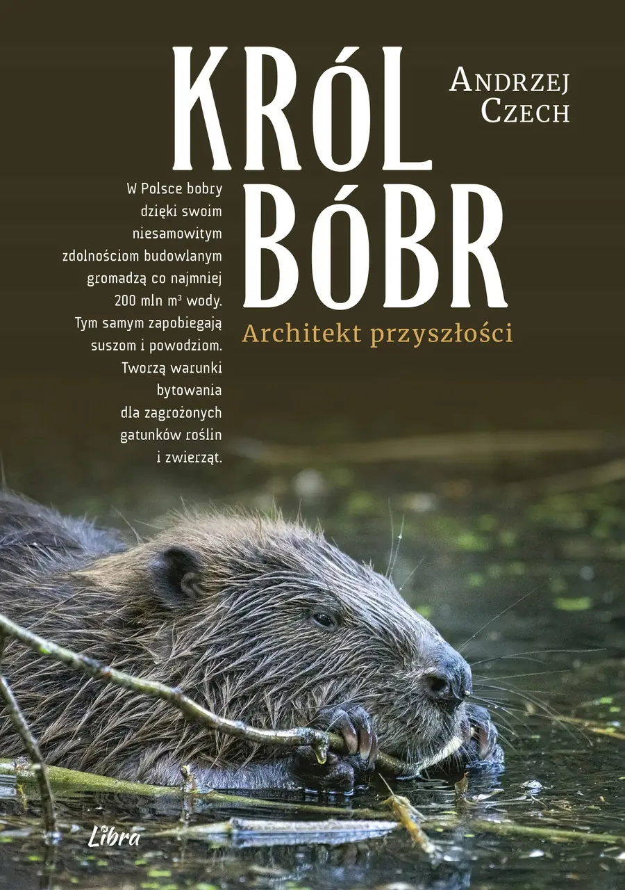Książka - Król Bóbr. Architekt przyszłości